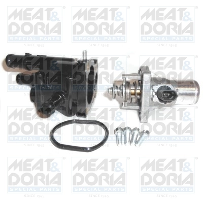 Thermostat, coolant